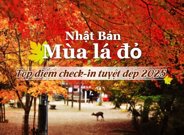 Những địa điểm ngắm lá mùa thu tại Nhật Bản năm 2025