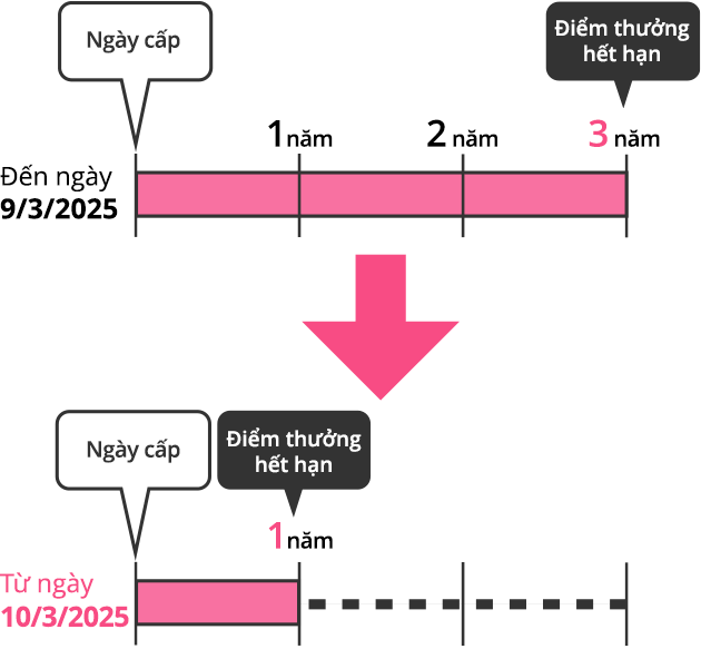Visualization of Point Expiration Dates