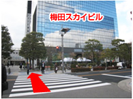 画像:階段を上り、横断歩道を渡るとスカイビルがあります。